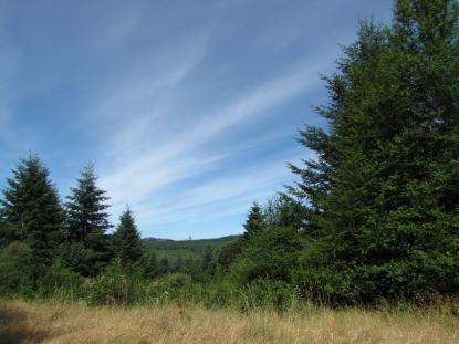 Land Listing - Cheshire, OR - Thumb
