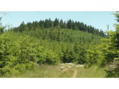 Land Listing - Junction City, OR - Thumb
