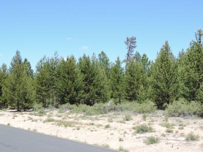Land Listing - La Pine, OR - Thumb