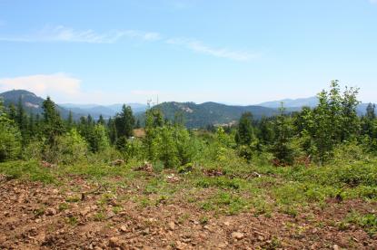 Land Listing - Cottage Grove, OR - Thumb