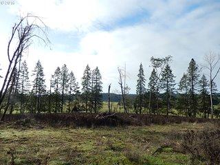 Land Listing - Junction City, OR - Thumb