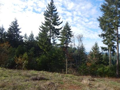Land Listing - Eugene, OR - Thumb