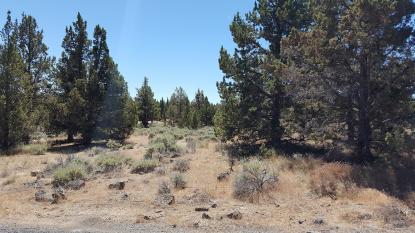 Land Listing - Bend, OR - Thumb