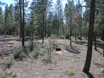 Land Listing - La Pine, OR - Thumb