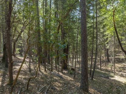 Land Listing - Wilderville, OR - Thumb