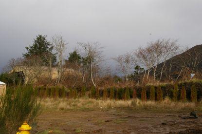 Land Listing - Newport, OR - Thumb