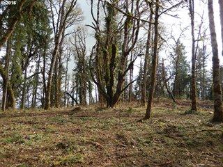 Land Listing - Cheshire, OR - Thumb